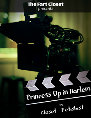 Princess Up in Harlem cover