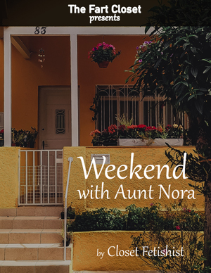 Weekend with Aunt Nora cover